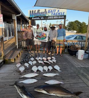 Lines tight, spirits high, Bay breeze just right.