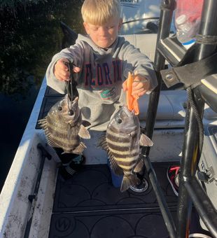 Sunny skies and steady sheepshead action in Hudson FL