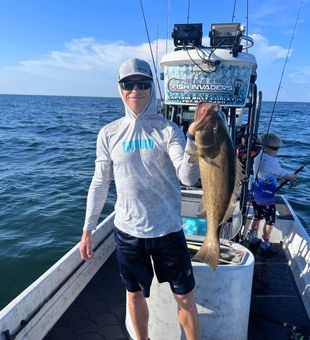 Hudson waters, home to monster Grouper