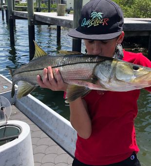 Gulf Coast mornings start with Snook runs 