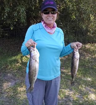 Sea Trout catches in Florida fishing