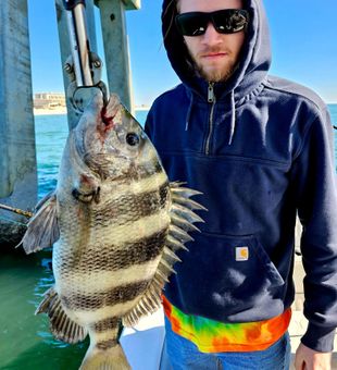 Sheepshead Fishing!