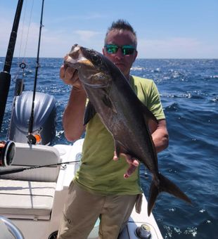 Greater amberjack from Orange Beach AL waters!