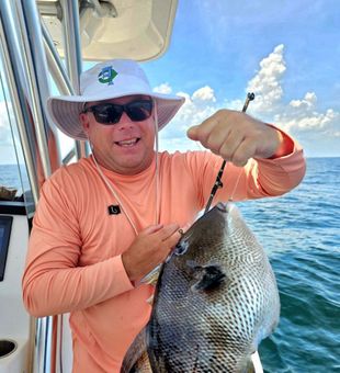 Light tackle action in the bays—inshore fishing Orange Beach delivers.