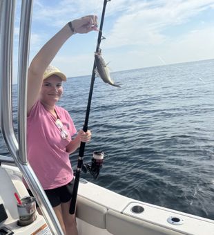 Fun whiting catch on an offshore fishing trip