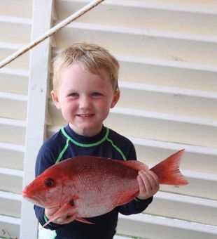 Nice red snapper from Orange Beach waters!