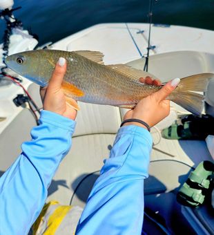 First catch of the day – pure excitement!
