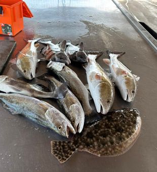 Matagorda Bay’s fishing at its best!