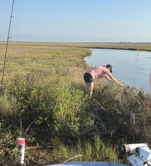 Great day on the water using multiple techniques in these productive marsh waters.