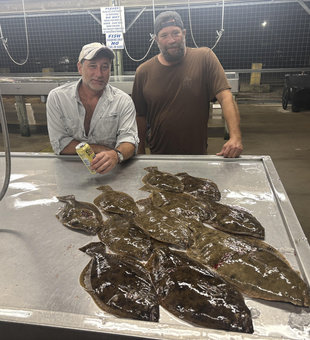 Fresh flatfish ready for cleaning after an exciting day on the water.