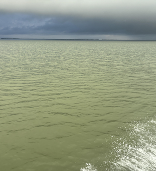 Great fishing waters at Matagorda with clearing skies this afternoon - perfect for jigging and drift fishing.