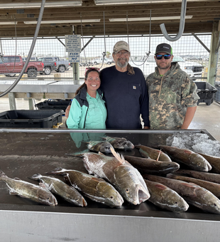 Fresh Texas redfish ready for cleaning at Three Rivers.