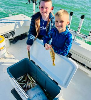 Awesome perch day!