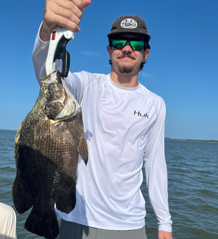 Beautiful Apalachicola tripletail caught on light tackle!