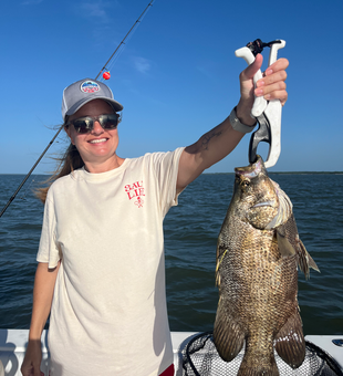 Beautiful Apalachicola tripletail landed on light tackle!