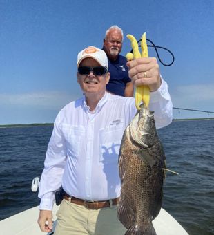 Big Tripletail catch on the water! 🎣 | Port fishing charter action
