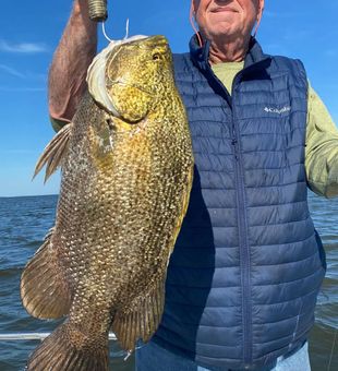Tripletail hunt in Apalachicola