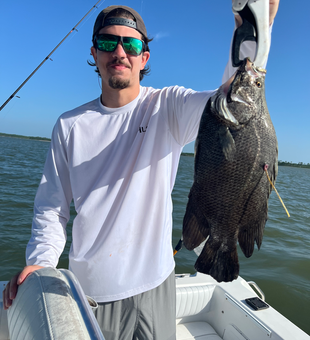 Beautiful Apalachicola tripletail caught on fly fishing gear!