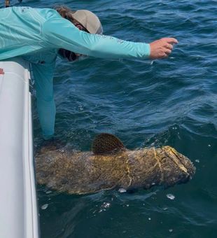 Fresh air and fishing in Big Pine Key.