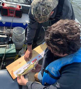 Hunt Ontario's wild duck and experience the thrill