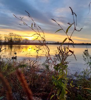 Ontario duck hunts offer action-packed outdoor fun