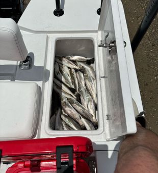 New Orleans Fishing Escapes