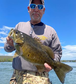 Largemouth Bass fishing!