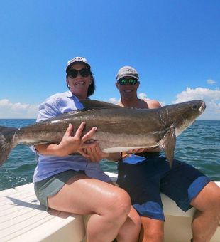 Fishing for Cobia in Chesapeake Bay