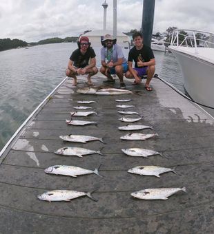 All Line up! Fresh Catch 