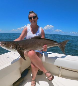VA Fishing for Cobia this Season