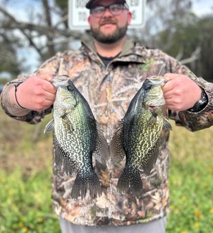 Some nice specks fishing an inshore river trip. 