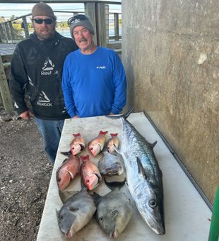 Offshore fishing, trigger fish, lane snapper, mangrove snapper, white bone porgey, and king mackerel. 