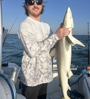 Caught a small shark while out on the open water!