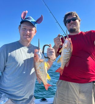 Colorful yellowtail snapper double hookup
