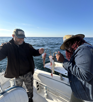 Great day on the water with multiple species using deep sea trolling and heavy tackle techniques!