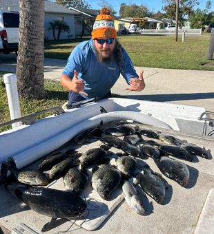 Action-packed sheepshead and catfish haul