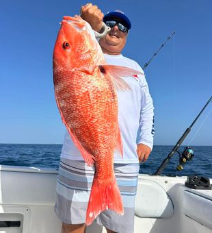 Colorful Red Snapper Offshore Fishing Trophy