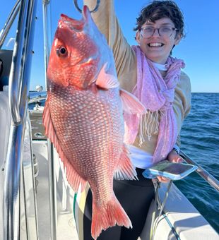 Vibrant red snapper offshore catch
