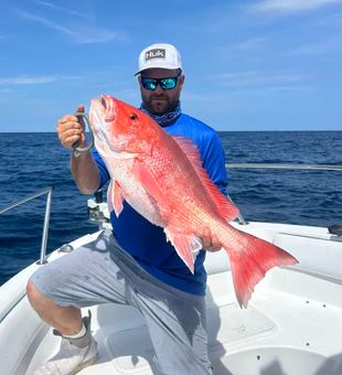 Vibrant Red Snapper Deep Sea Fishing Catch