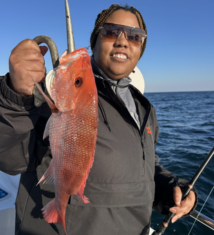 Nice red snapper on the deep sea trolling setup today!