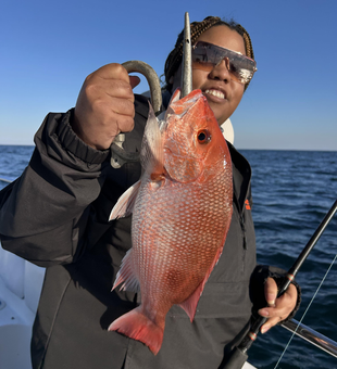 Nice red snapper using deep sea trolling techniques in clear conditions!