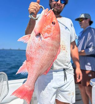 Bright Red Snapper Offshore Fishing Catch