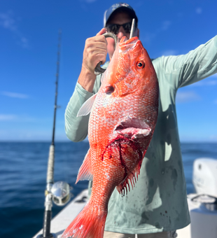 Beautiful red snapper caught in Port Orange waters!