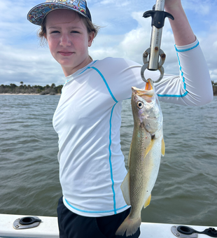 Fresh squeteague hauled in from Port Orange waters!