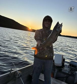 Sunset Salmon Run - Palmyra, ME.