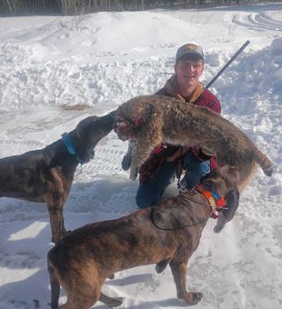 Great hunting success in Palmyra Maine with loyal hounds!
