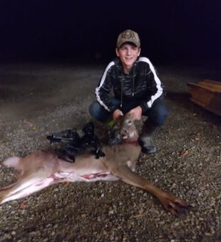 Maine's Deer Country