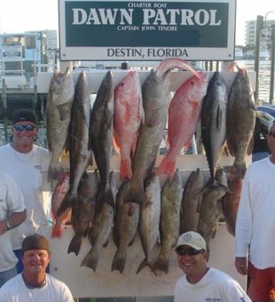 Discover the Gulf's treasure on our Destin fishing