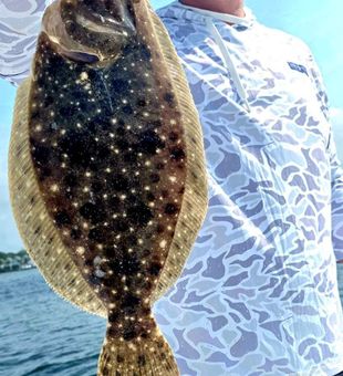 Impressive flounder catch!