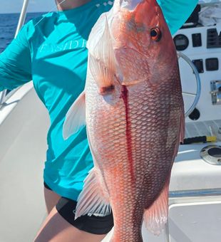Sunrise departures and nonstop action on a Destin deep sea fishing trip in the Emerald Coast waters.